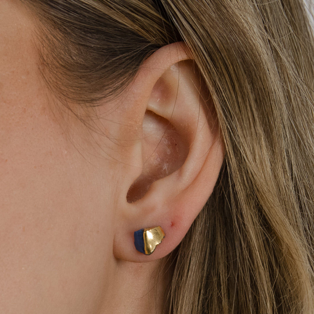 Ausies su auksiniu ir mėlynu auskaru stambus planas.